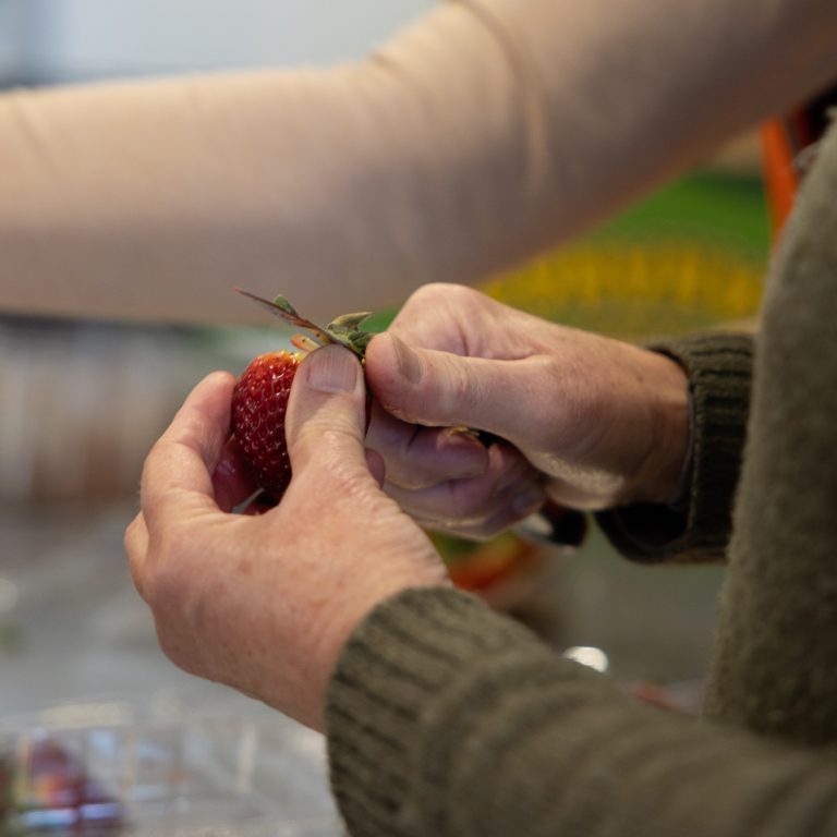 Foodshare Jam Prep 1-c