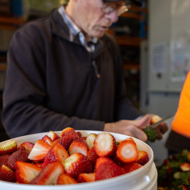 Foodshare Jam Prep 3-c