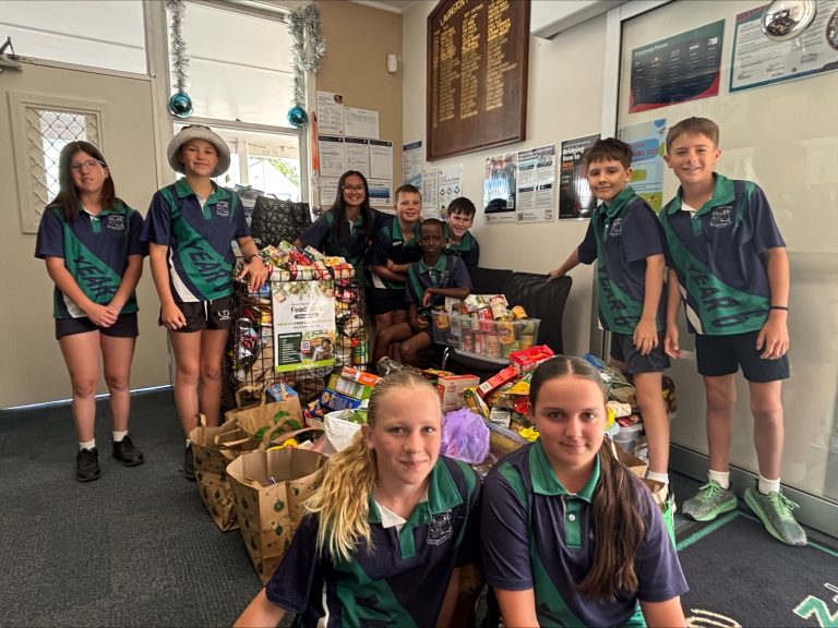 Lavington Public School copy